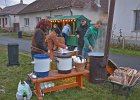 Michal Sláma : Mikulášská nadílka a Vánoční strom 8.12.2018